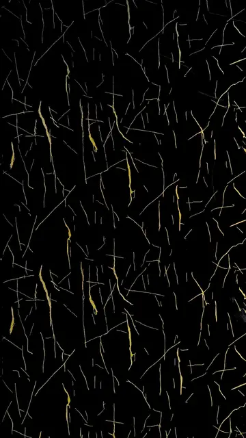 Lámina PVC MF-LJ002 imitación mármol, mármol negro con vetas doradas finas — MF Design
